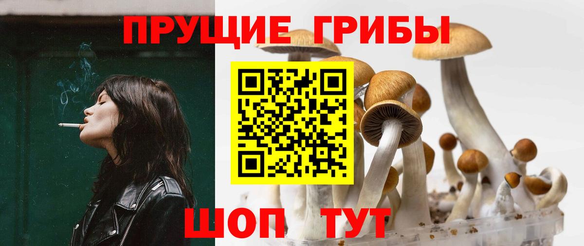 магазин    Вход с VPN  Севастополь  Галлюциногенные грибы Magic Shrooms 